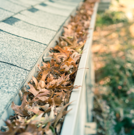 Can Clogged Gutters Cause Ceiling Leaks?
