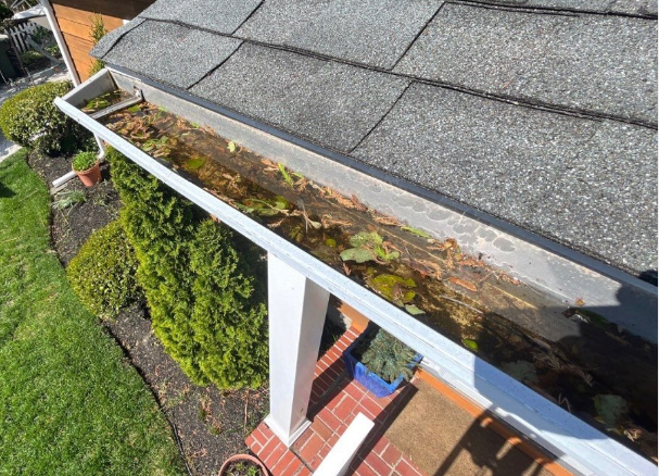 can clogged gutters cause roof leaks