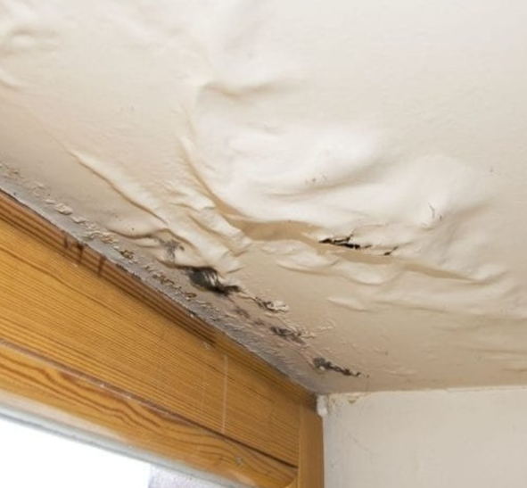 Can Clogged Gutters Cause Ceiling Leaks
