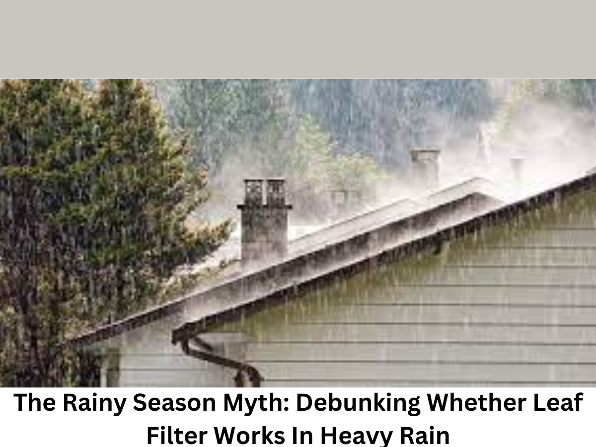 The Rainy Season Myth: Debunking Whether Leaf Filter Works In Heavy Rain
