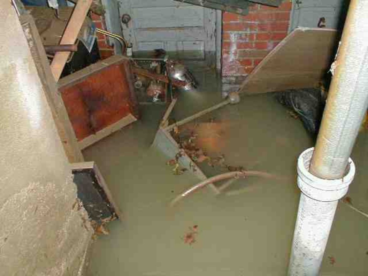 How to Identify Water Damage in Your Basement Before It's Too Late