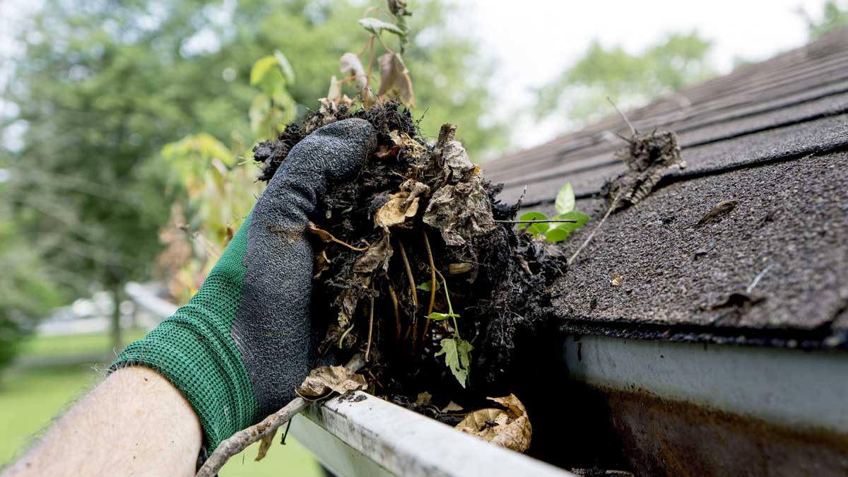 Gutters Cleaning: 3 Benefits To Hiring A Professional